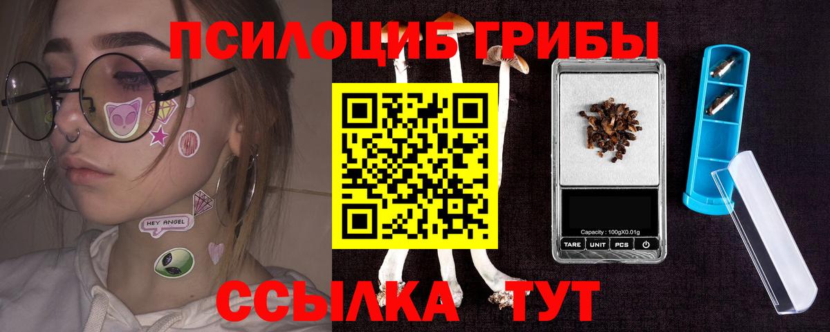 закладка  Вход с VPN  Псилоцибиновые грибы Psilocybine cubensis  Бийск  Галлюциногенные грибы GOLDEN TEACHER 